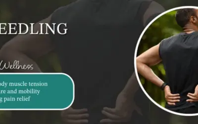 Dry Needling for Head-to-Toe Wellness